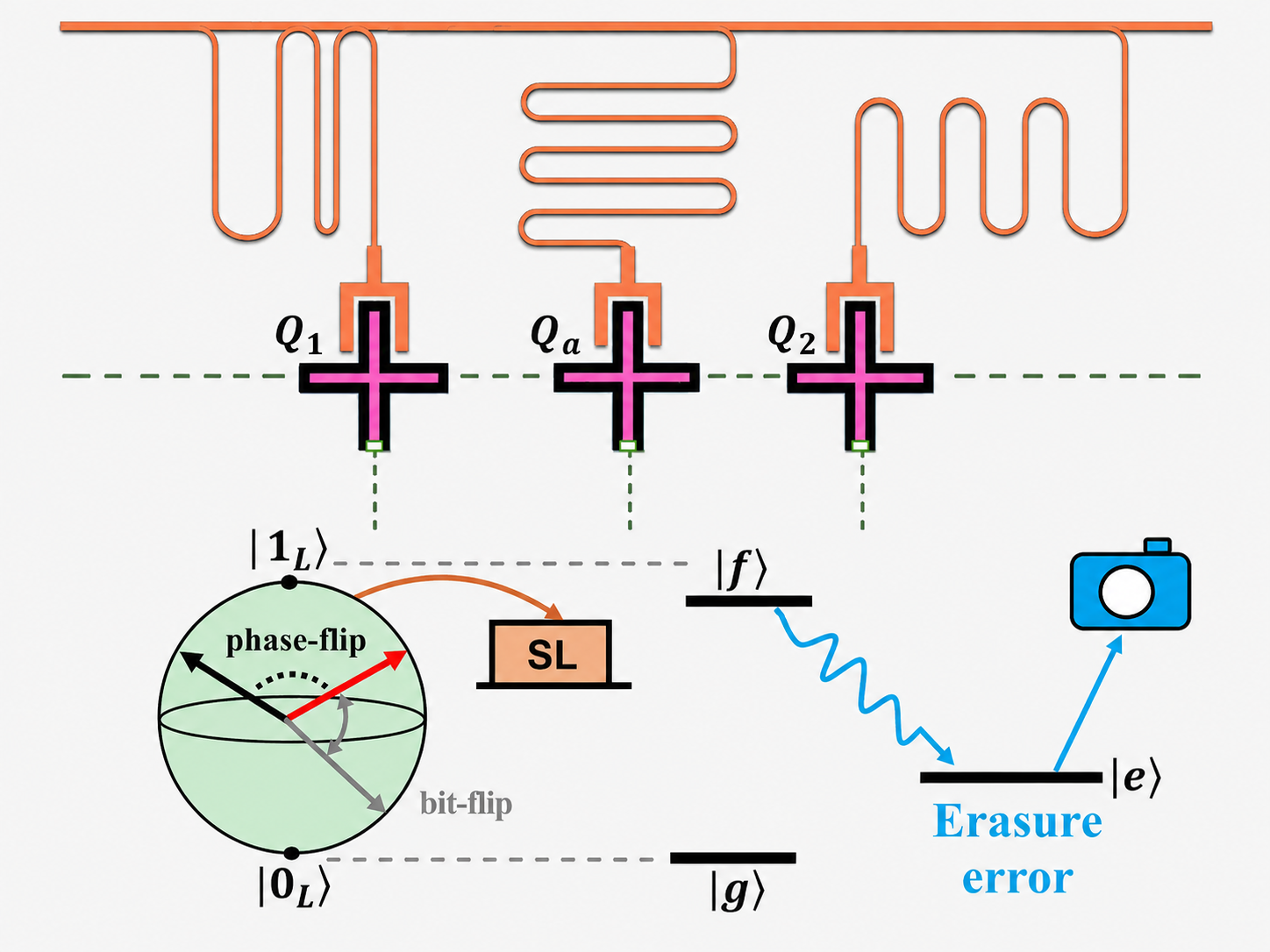 Circuit and energy-level schematic for a superconducting transmon erasure-qubit architecture.