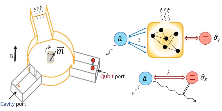 Circuit-QED diagram illustrating directional open-system dynamics.