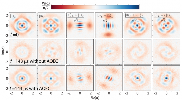 Wigner-function reconstruction of a passively protected bosonic quantum state.